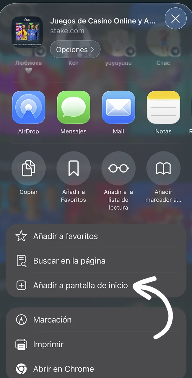 Gestioná tu acceso en iPhone mediante el sitio oficial Stake.