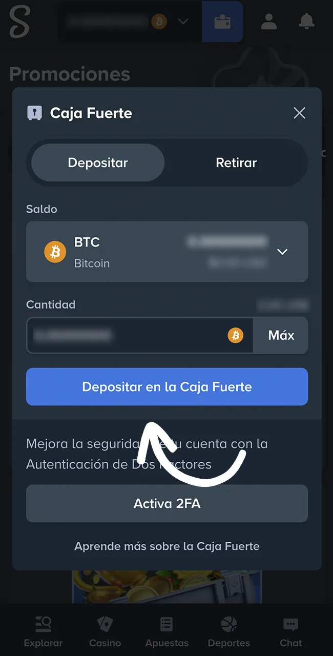 Cargá dinero en tu cuenta personal dentro del sitio oficial Stake.