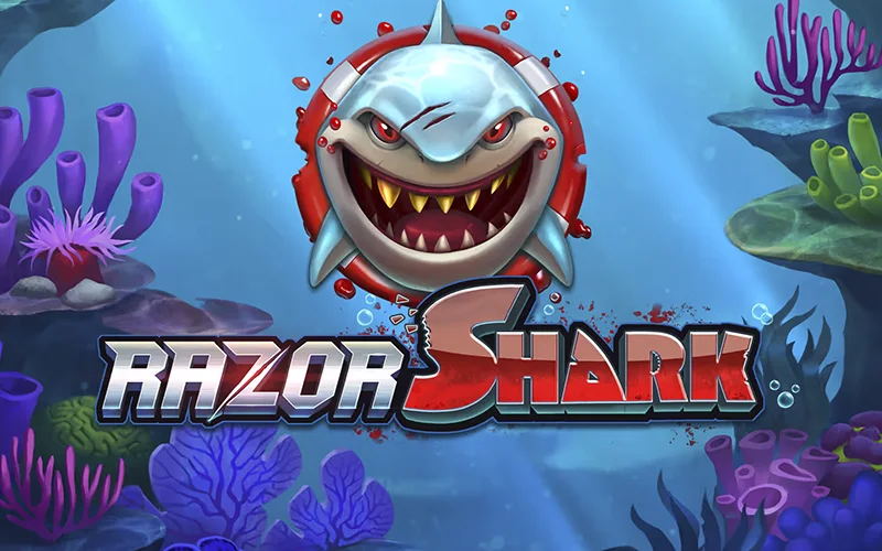 Buscá tesoros marinos en Razor Shark dentro del sitio oficial Stake.