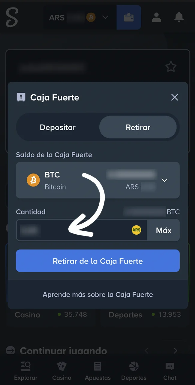 Ingresá los datos de tu billetera en el sitio oficial Stake Argentina.