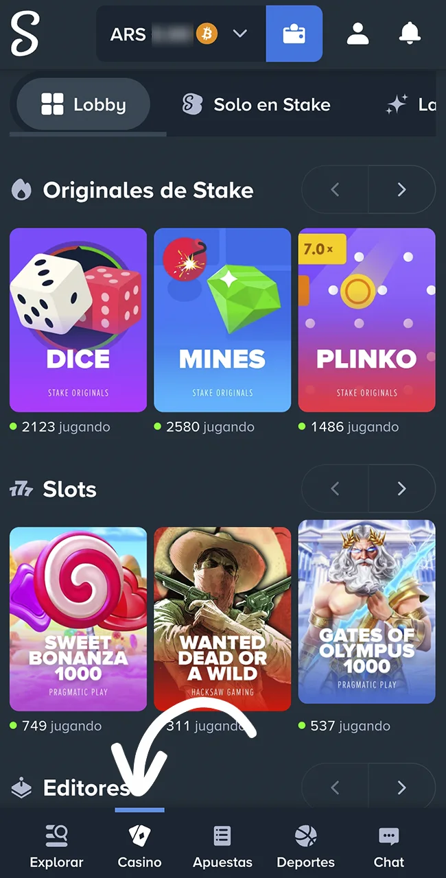 Navegá por el catálogo de juegos en el sitio oficial Stake.